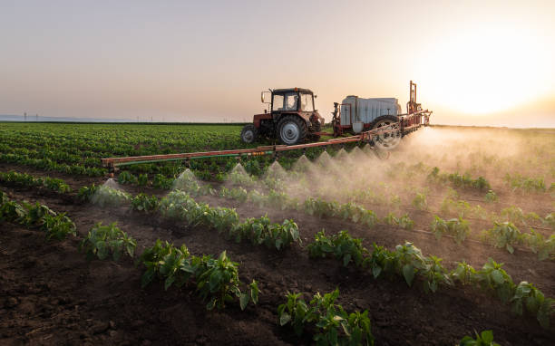 Best Wildlife Control Services  in Newark, IL