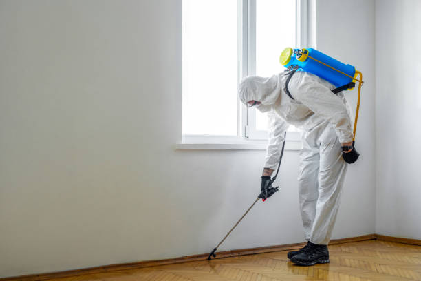 Professional Pest Control in Newark, IL