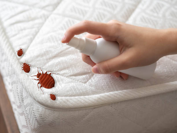 Best Affordable Pest Control Services  in Newark, IL