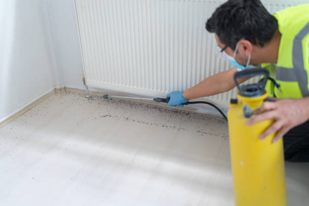 Best Best Pest Control Companies  in Newark, IL