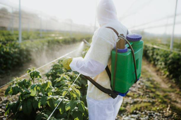 Best Commercial Pest Control Services  in Newark, IL